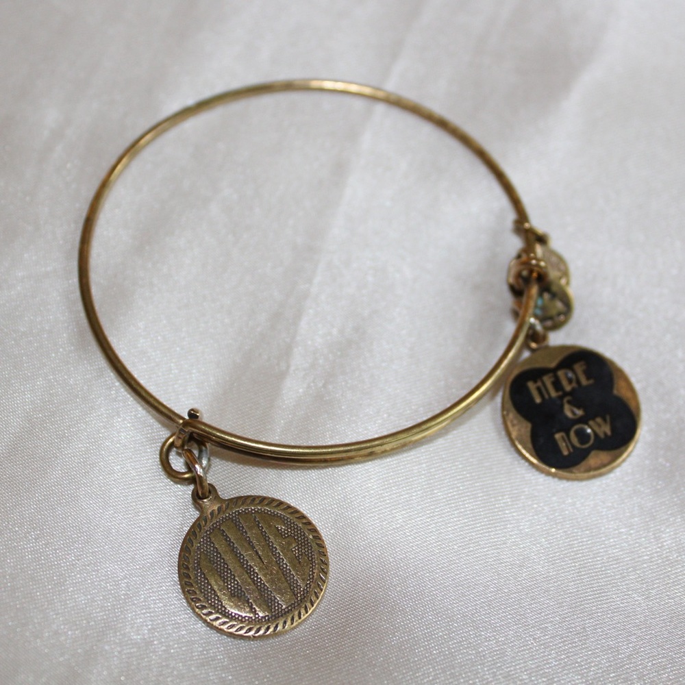 Alex and Ani Gold Bangle Bracelet - Double Charm
